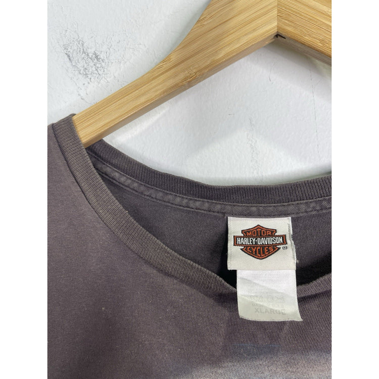 Men’s 2016 HD Harley-Davidson Big Spring Texas Farm Barn USA Sz XL