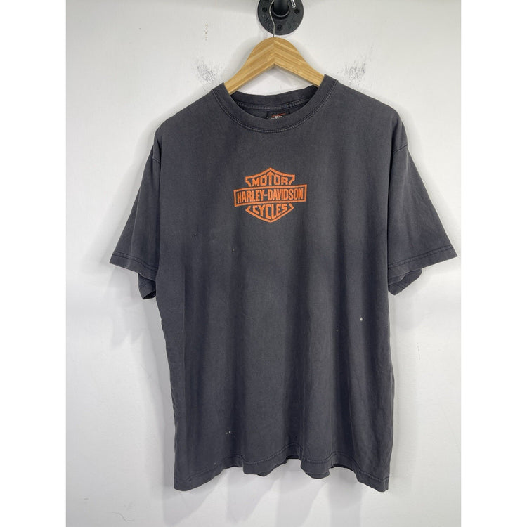 Men’s Vintage Harley Davidson Double Sided Graphic Flaming Skulls T Shirt Sz L