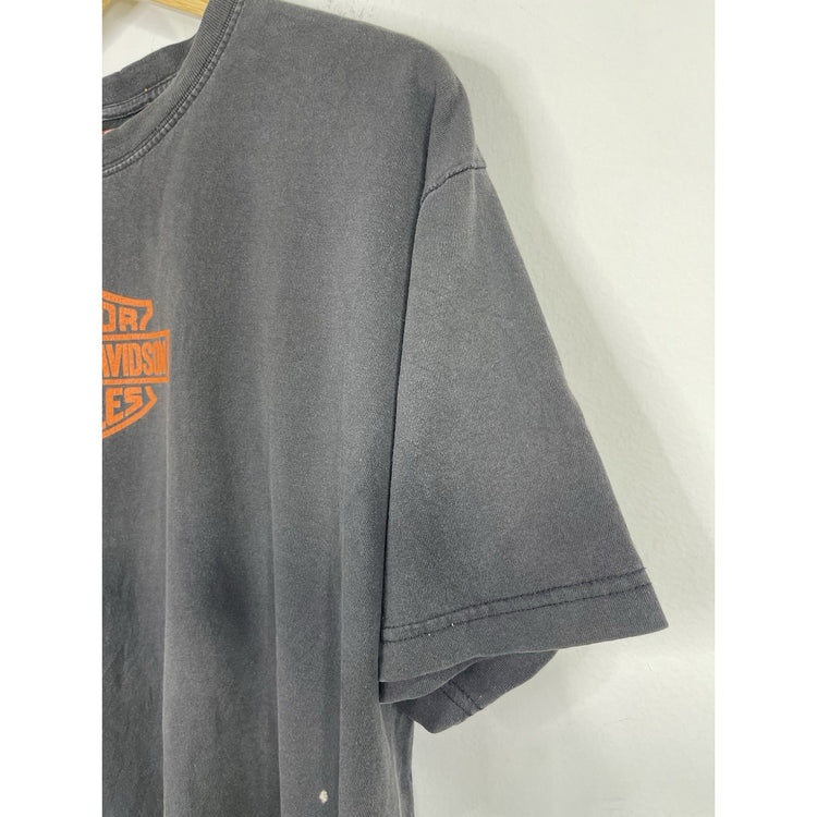 Men’s Vintage Harley Davidson Double Sided Graphic Flaming Skulls T Shirt Sz L