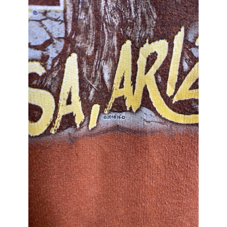 Mens Vintage Harley Davidson Arizona 2018 HD Graphic Hoodie Orange Sz 3XL