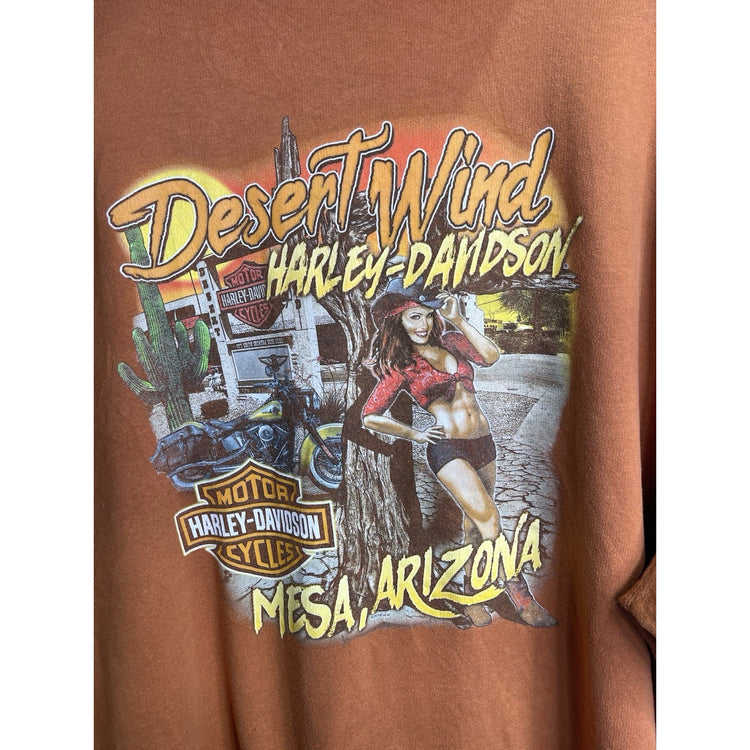 Mens Vintage Harley Davidson Arizona 2018 HD Graphic Hoodie Orange Sz 3XL