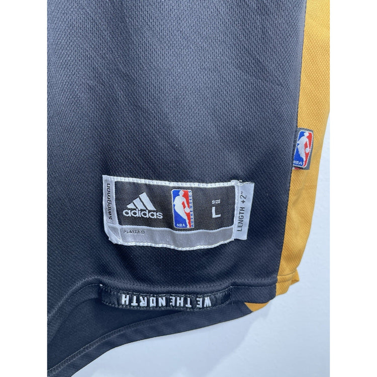 NBA Adidas Toronto Raptors DeMar Derozan #10 Black Gold Jersey Size L