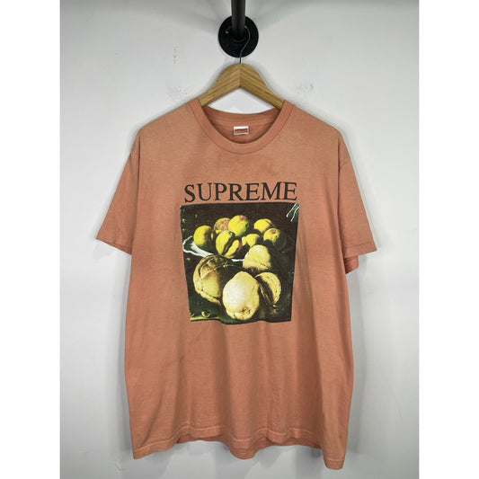 Supreme Still Life Tee T-Shirt Terracotta Medium Size Large
