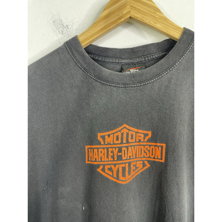 Men’s Vintage Harley Davidson Double Sided Graphic Flaming Skulls T Shirt Sz L