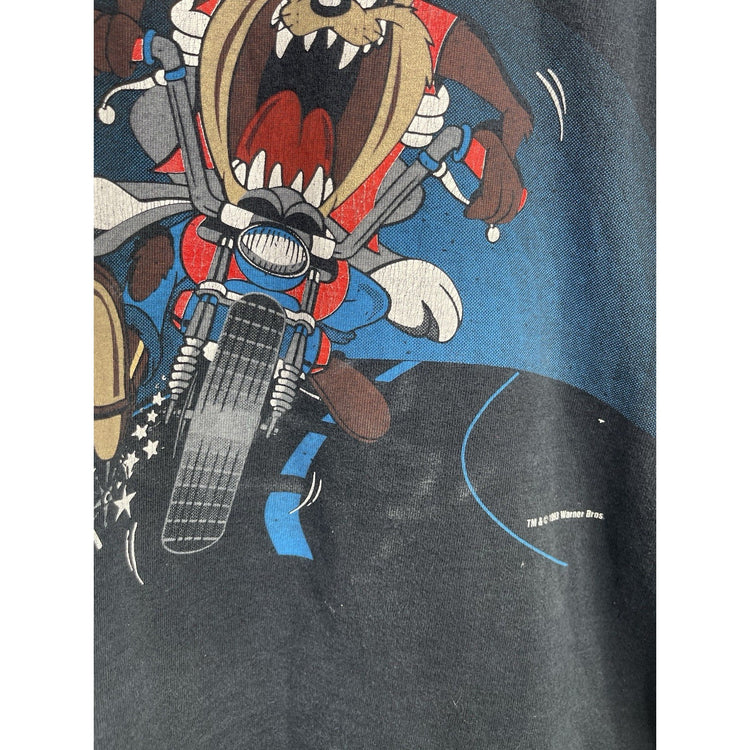 1993 Warner Bros Looney Tunes Hooded Tee