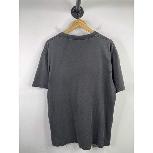 Dale Earnhardt Jr AMP Energy NASCAR T-Shirt Hendrick Motorsport Size 2xl