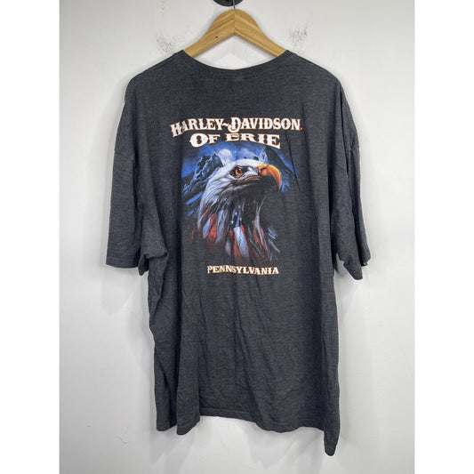 Mens Harley Davidson Freedom Machine Eagle Doublesided Short Sleeve Shirt Sz 3XL