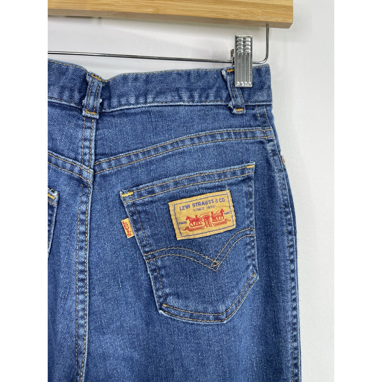 Youth Levi Strauss & Co. Regular Fit Blue Jeans 26x29
