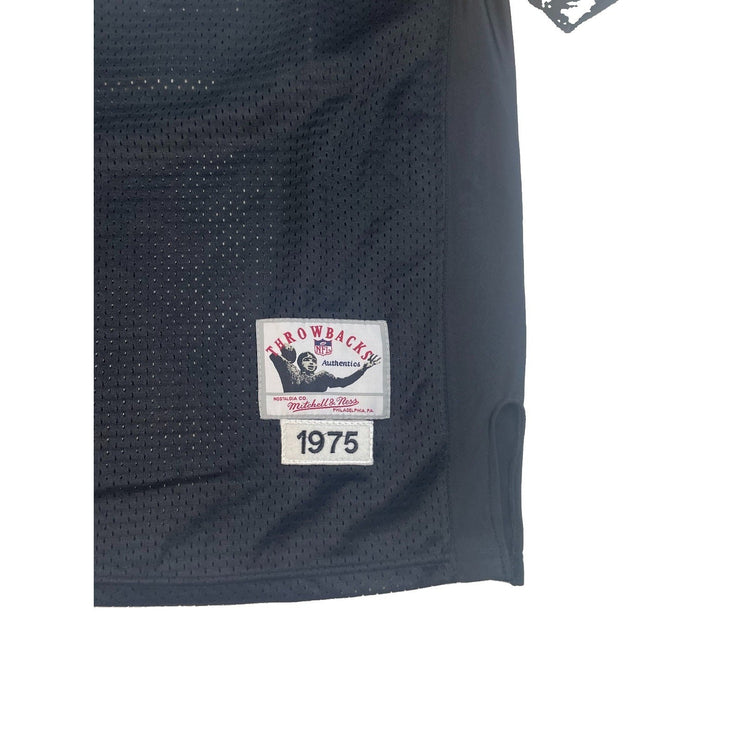 Mens Mitchell & Ness Pittsburgh Steelers Rocky Bleier #20 1975 Jersey SIZE 54