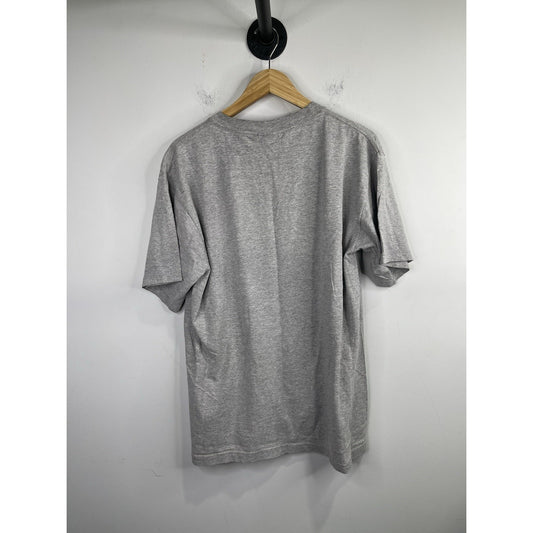 Adult Gray University Of Texas At Austin Longhorns Graphic T Shirt Sz L