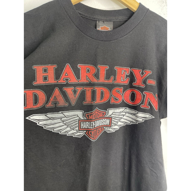 Men’s Motor Harley Davidson Cycles Graphic Double Sided Black T Shirt Sz S